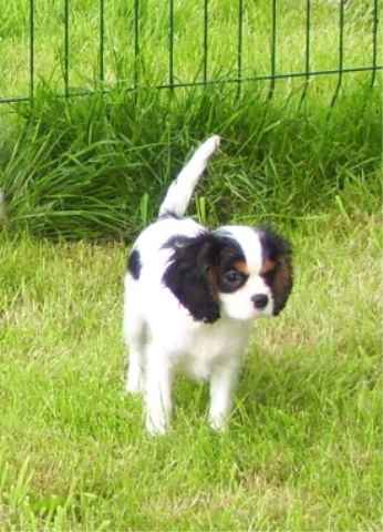 EQUINOXE de la maison du ryez