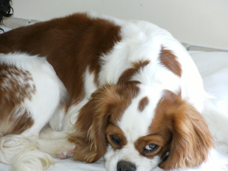 April de la maison du ryez