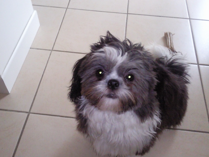 Dixy de la maison du ryez