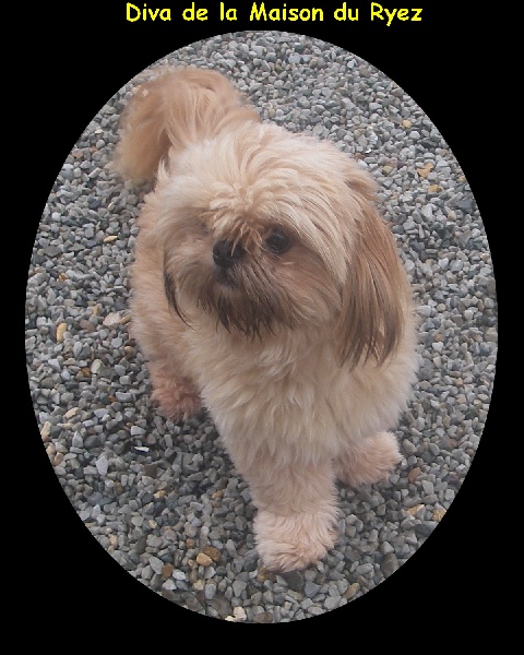 Diva de la maison du ryez