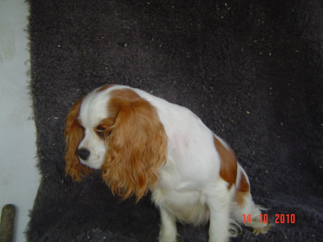 Esmeralda de la maison du ryez