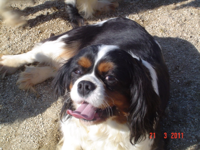 Dubai de la maison du ryez