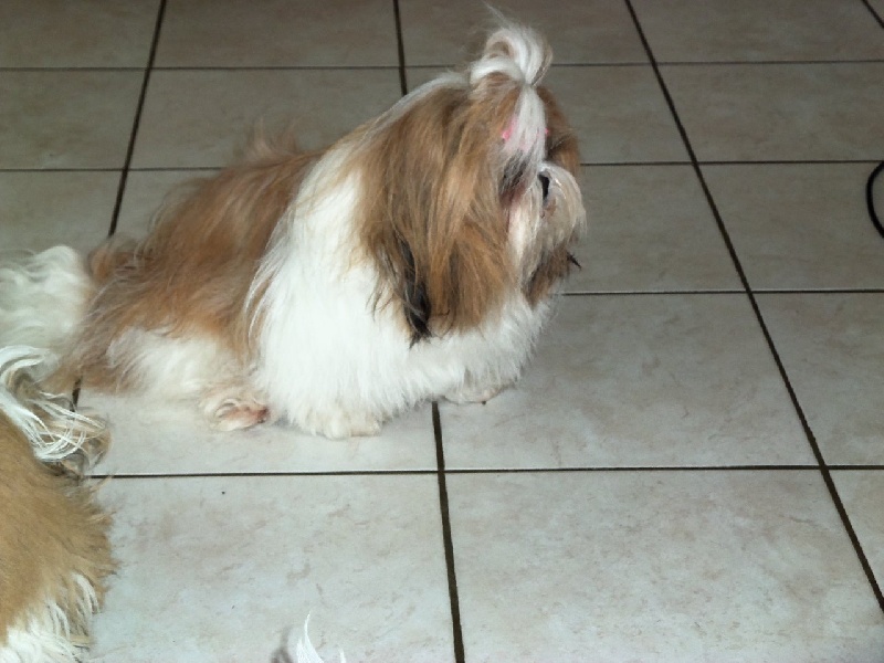 Easy de la maison du ryez