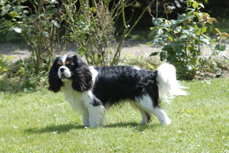 Exel de la maison du ryez