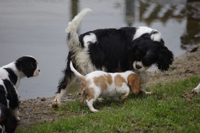 Eugénie de la maison du ryez