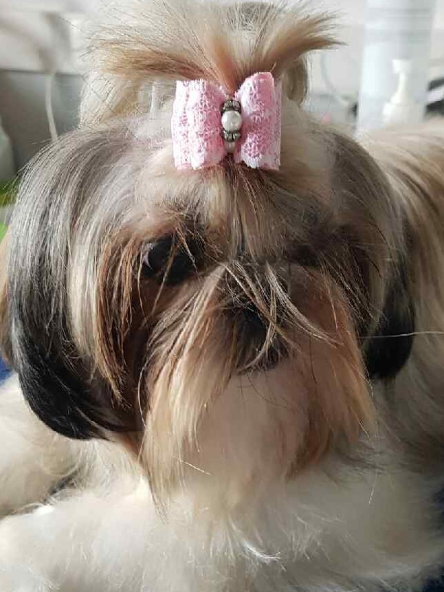 Lilly pop de la maison du ryez