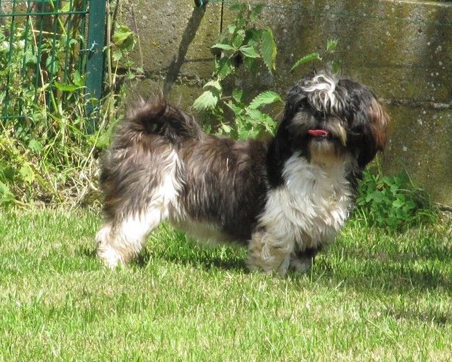 Minnie de la maison du ryez