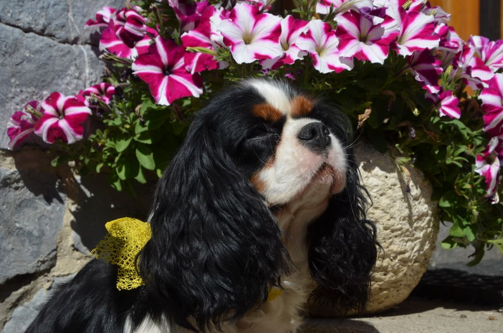 Maeva de la maison du ryez