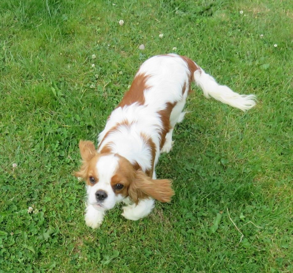 Vitamine de la maison du ryez