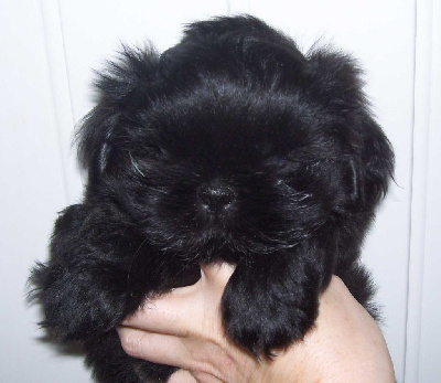 ON ATTEND DES BB FIN OCTOBRE